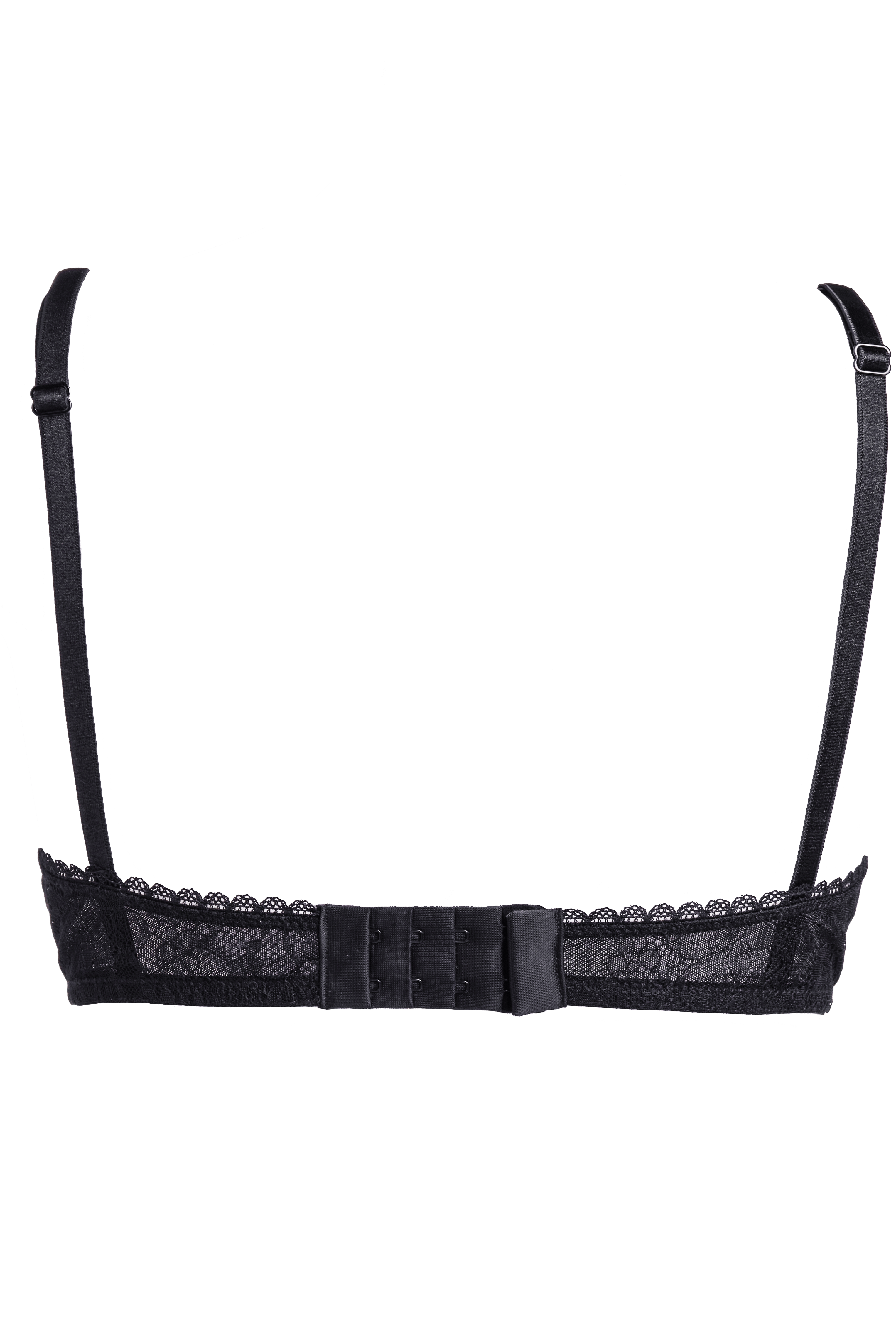 Solstice Bra Black - Noblesse Oblige Lingerie