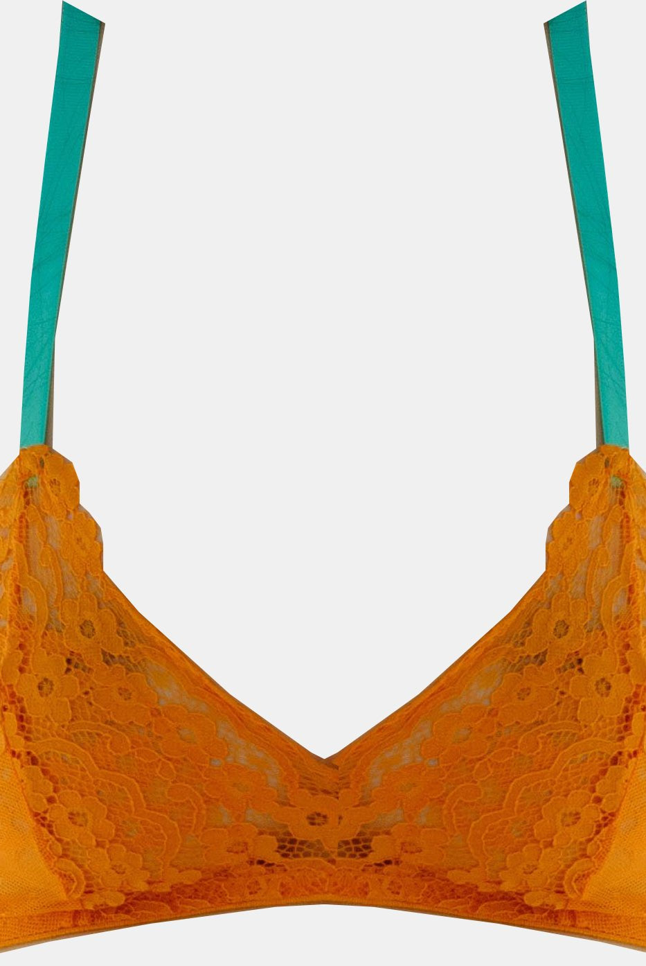 Pop Orange Lace Panty - Noblesse Oblige Lingerie
